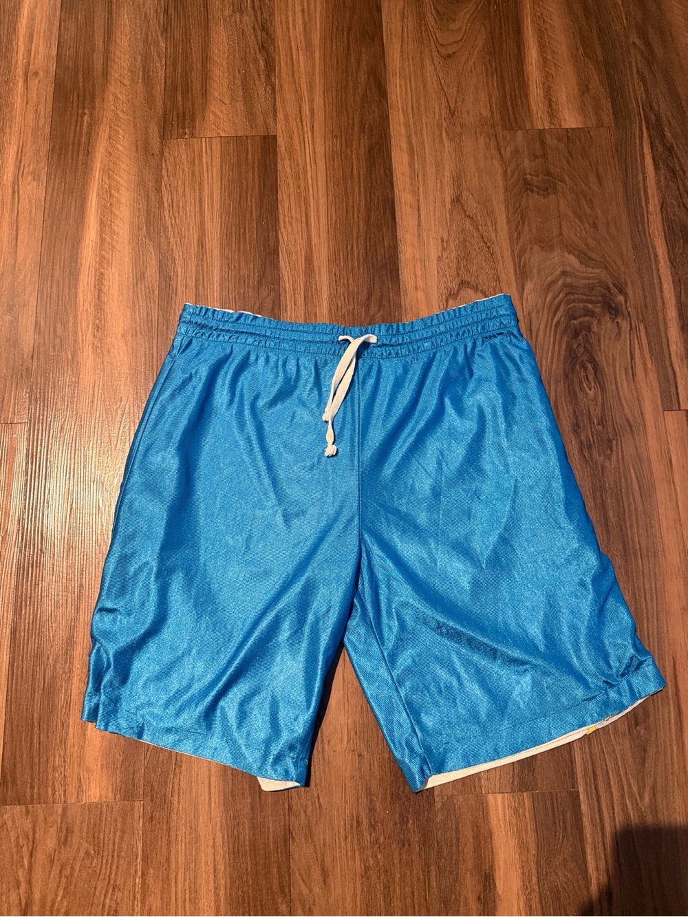 Champion Blue Athletic Drawstring Shorts